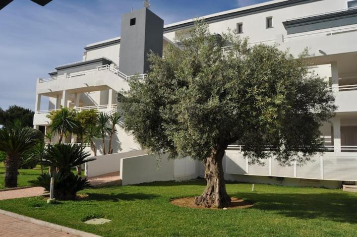 Met&Golf Oliva Nova Beach Jardin Exterior foto